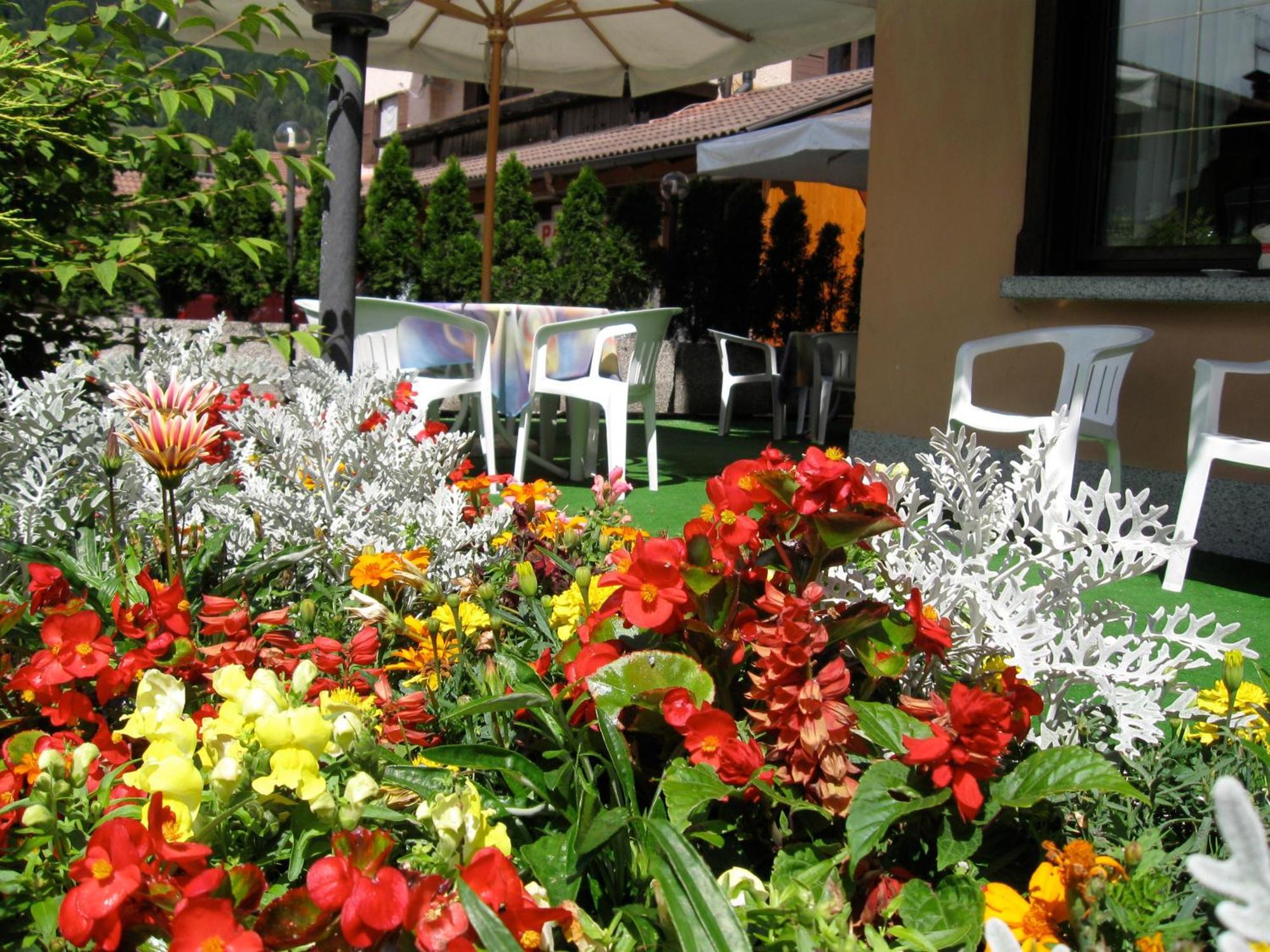 Hotel Binelli Pinzolo Esterno foto