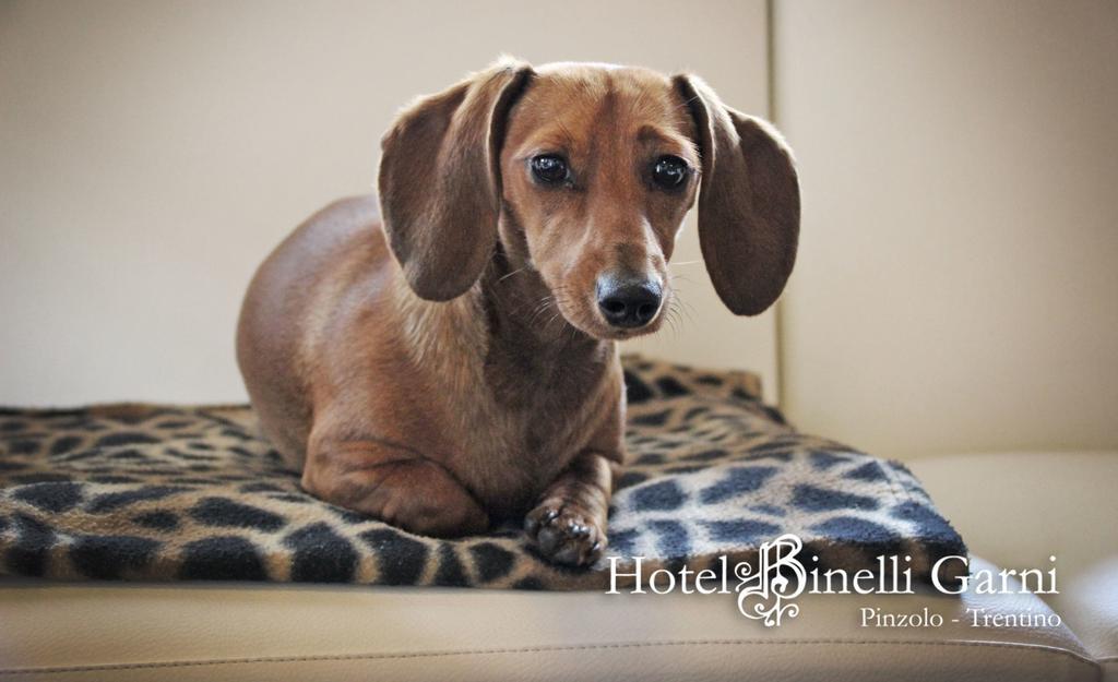 Hotel Binelli Pinzolo Esterno foto